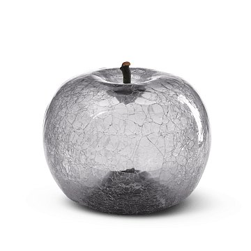 Яблоко Zirconium medium plus